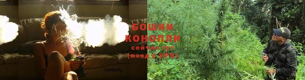 шишки Нягань