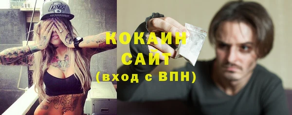 шишки Нягань