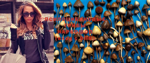 mix Няндома