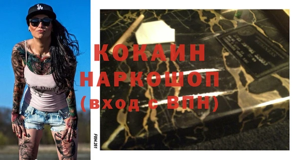 шишки Нягань