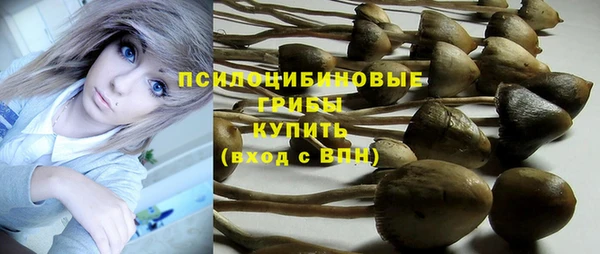 прущие крисы Нязепетровск