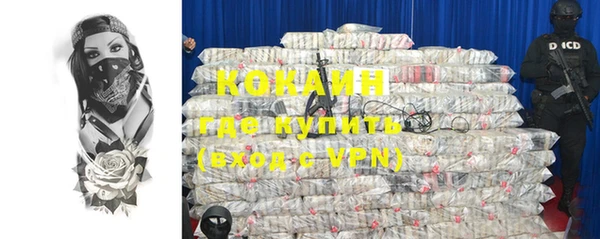 шишки Нягань