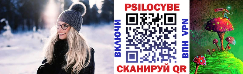Псилоцибиновые грибы Psilocybe  купить закладку  Собинка 